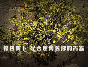 图片展示